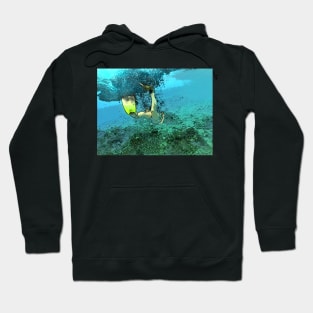 Snorkeling Hoodie